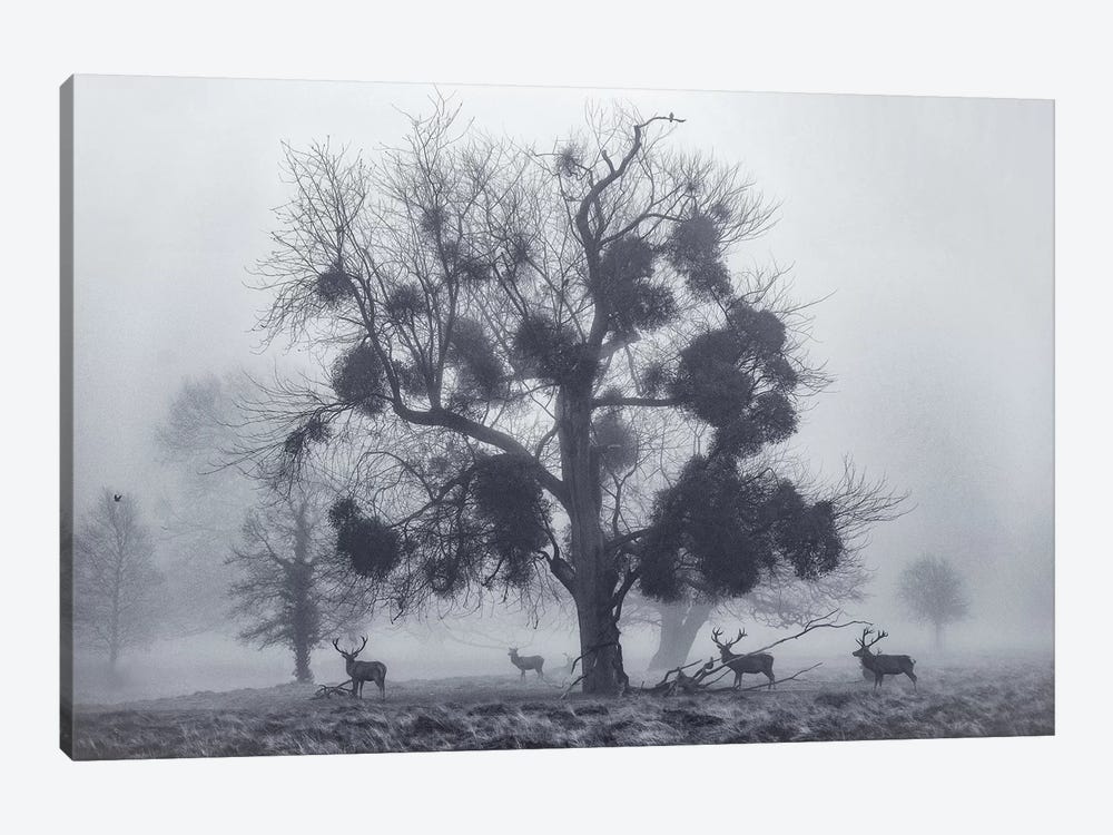 Tudor Mist by Max Ellis 1-piece Art Print