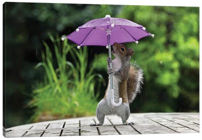 Umbrella I Canvas Art Print - Squirrel Art