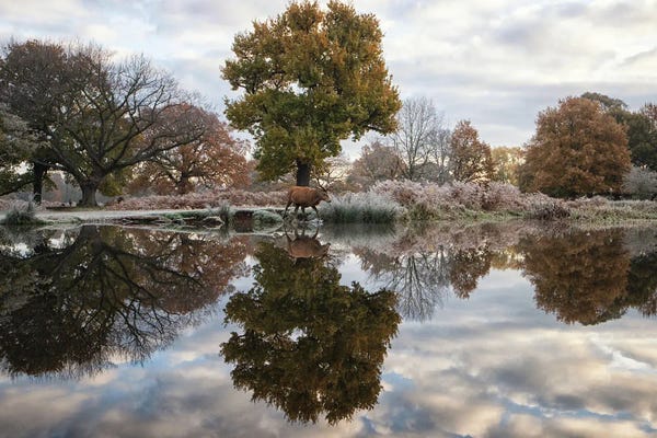 Mirrorworld