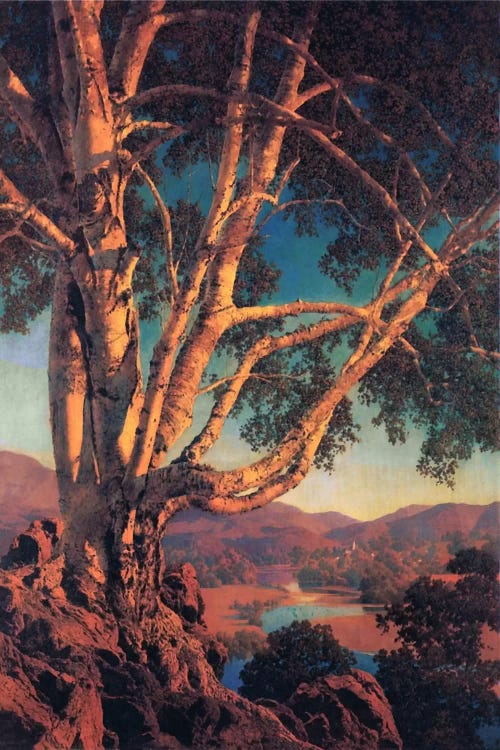 Old White Birch by Maxfield Parrish wall art