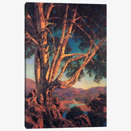Old White Birch Canvas Print #MXP11} by Maxfield Parrish Canvas Print