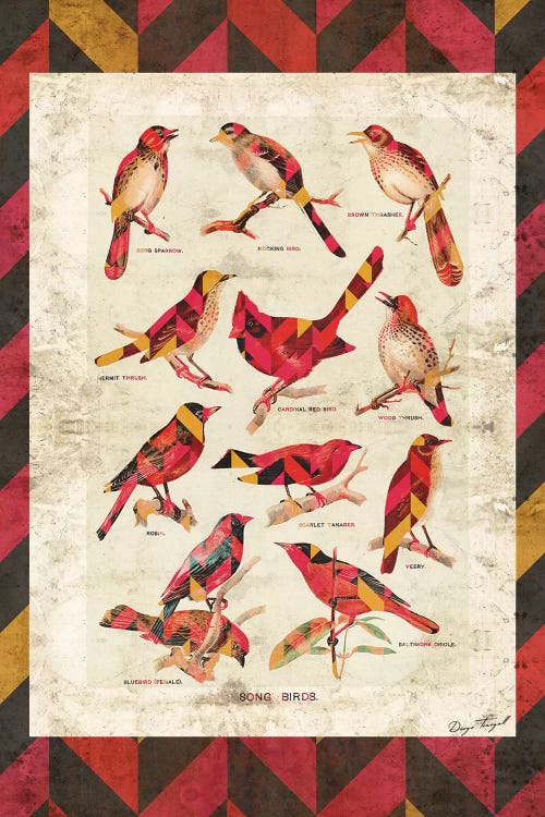 Song Birds V2 by Diego Tirigall wall art