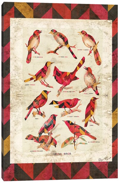 Song Birds V2 Canvas Art Print - Chevron Patterns
