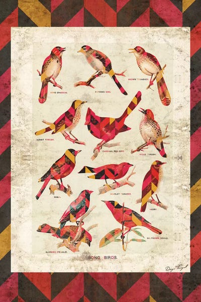 Chevron: Song Birds V2 by Diego Tirigall