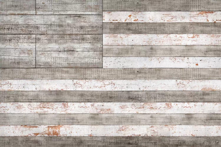 Stars & Stripes in White by Diego Tirigall wall art