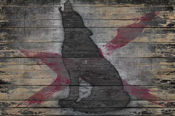 Wolves: Lone Wolf by Diego Tirigall