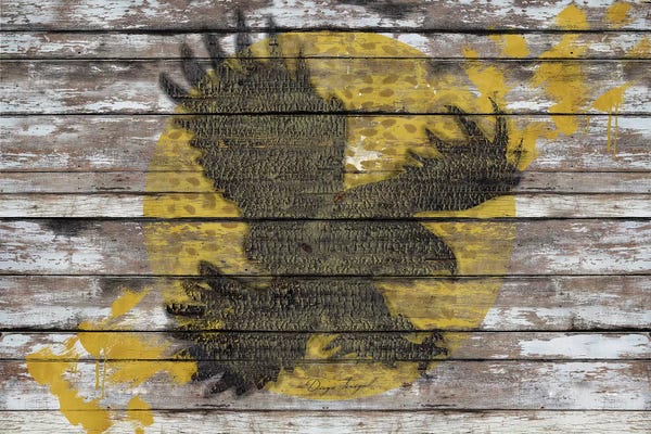 Southwest Décor: Eagle Sunset by Diego Tirigall