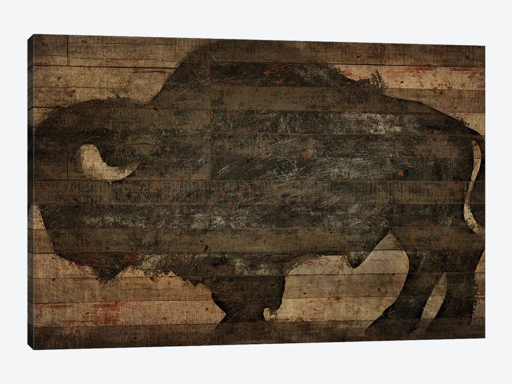 Buffalo I by Diego Tirigall 1-piece Art Print