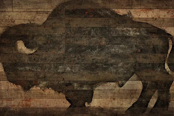 Diego Tirigall: Buffalo I by Diego Tirigall