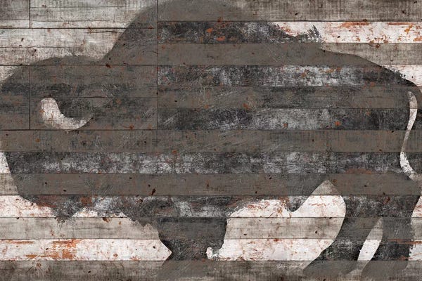 Office: Buffalo II by Diego Tirigall