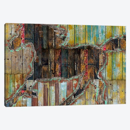 Galope Canvas Print #MXS114} by Diego Tirigall Canvas Art