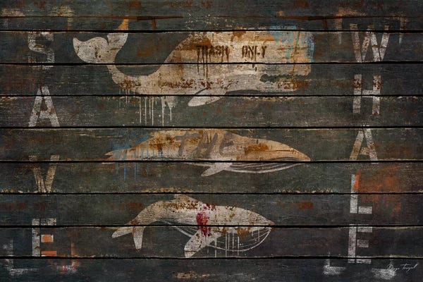 Animal Rights: Save The Whales by Diego Tirigall