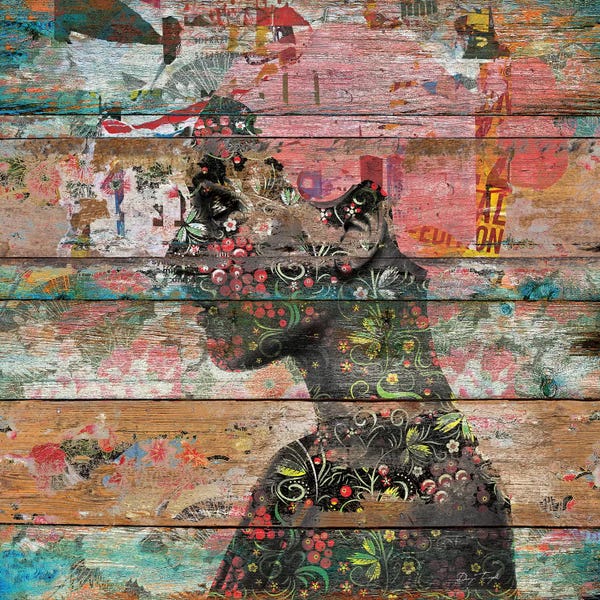 Santa Fe: Inner Nature (Profile Of Woman) by Diego Tirigall