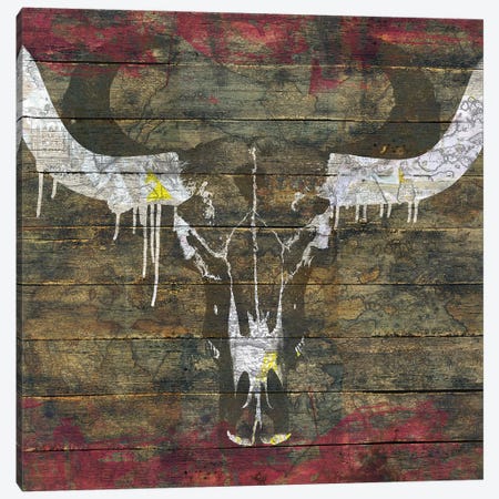 Two Sides (Cow Skull) Canvas Print #MXS135} by Diego Tirigall Canvas Wall Art