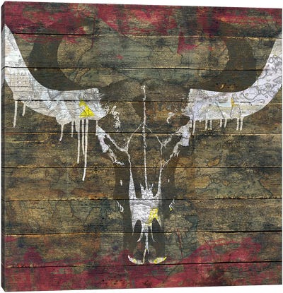 Two Sides (Cow Skull) Canvas Art Print - Diego Tirigall