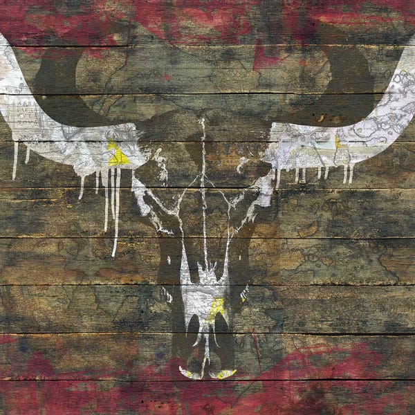 Skulls: Two Sides (Cow Skull) by Diego Tirigall