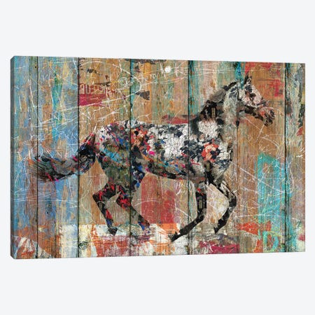 Source of Life (Wild Horse) Canvas Print #MXS139} by Diego Tirigall Art Print