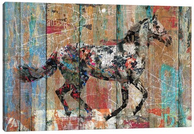 Source of Life (Wild Horse) Canvas Art Print - Horses