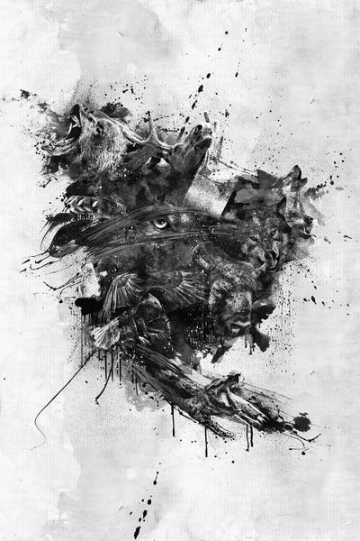 Diego Tirigall: Wild North America by Diego Tirigall