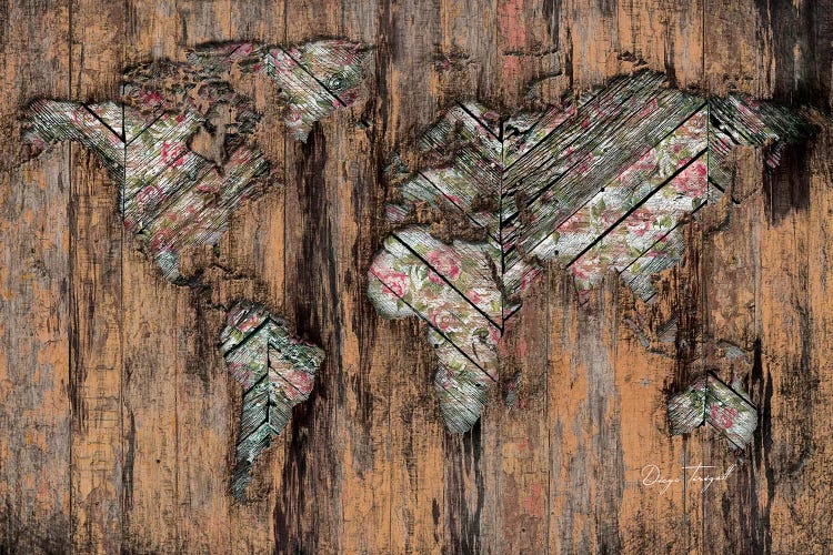 The Divided Continent by Diego Tirigall canvas print