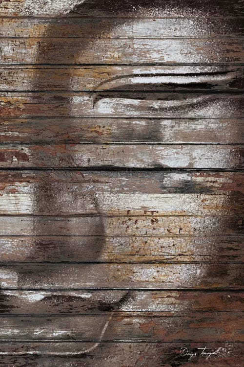 Buddha Mind by Diego Tirigall wall art
