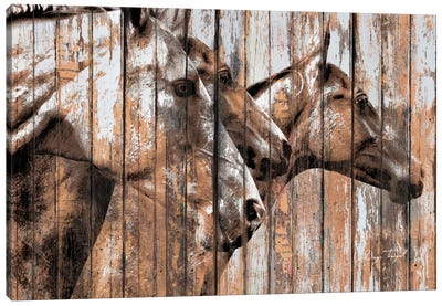 Run With The Horses Canvas Art Print - Farm Animal Art