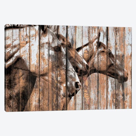 Run With The Horses Canvas Print #MXS156} by Diego Tirigall Canvas Wall Art