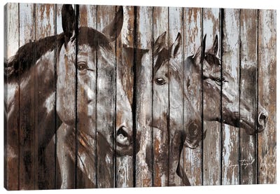 Three Horses Canvas Art Print - Modern Farmhouse Living Room Art