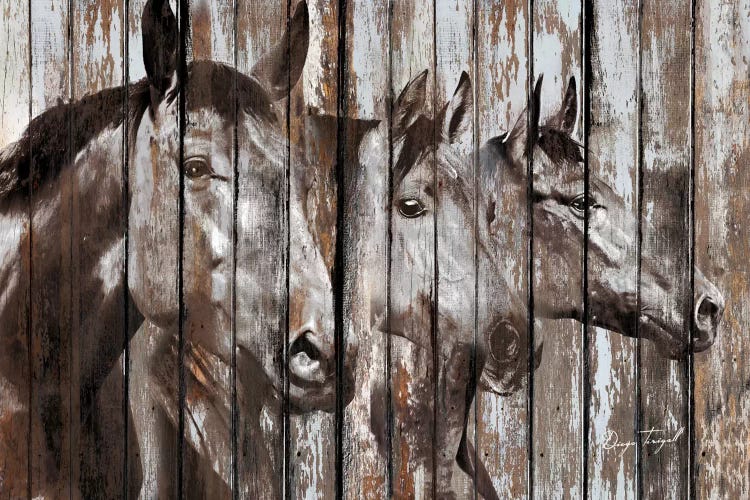 Three Horses by Diego Tirigall wall art