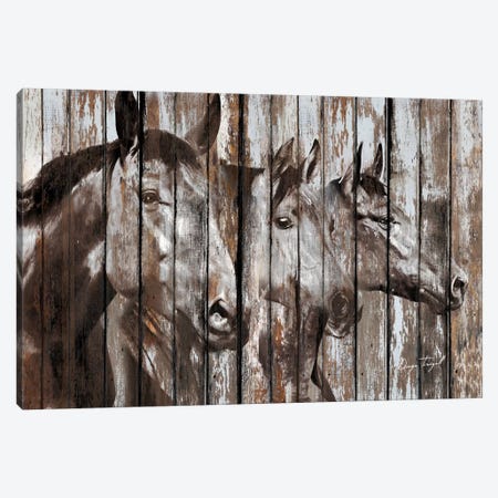 Three Horses Canvas Print #MXS158} by Diego Tirigall Art Print