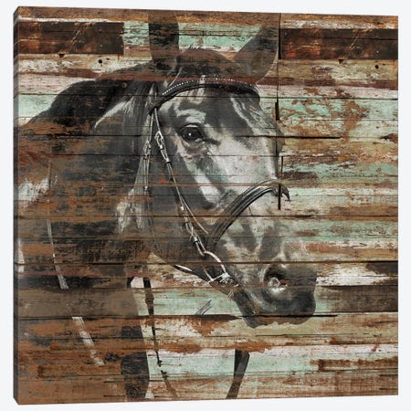The Horse Canvas Print #MXS162} by Diego Tirigall Canvas Wall Art