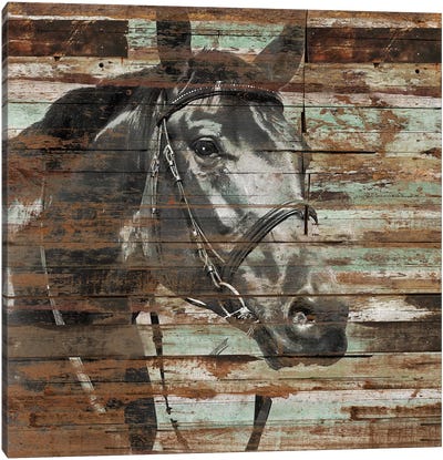 The Horse Canvas Art Print - Diego Tirigall
