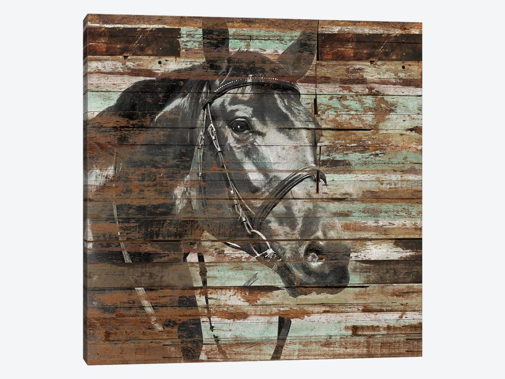 The Horse by Diego Tirigall 1-piece Canvas Wall Art