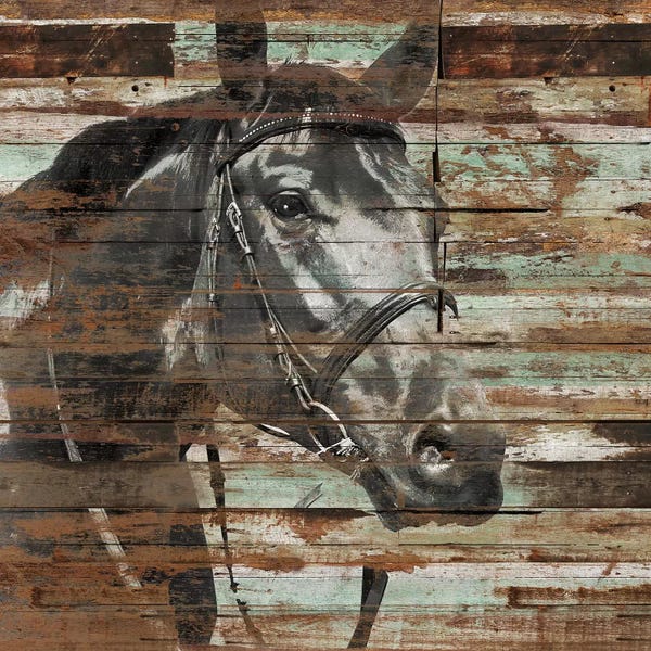 Cabin & Lodge Décor: The Horse by Diego Tirigall