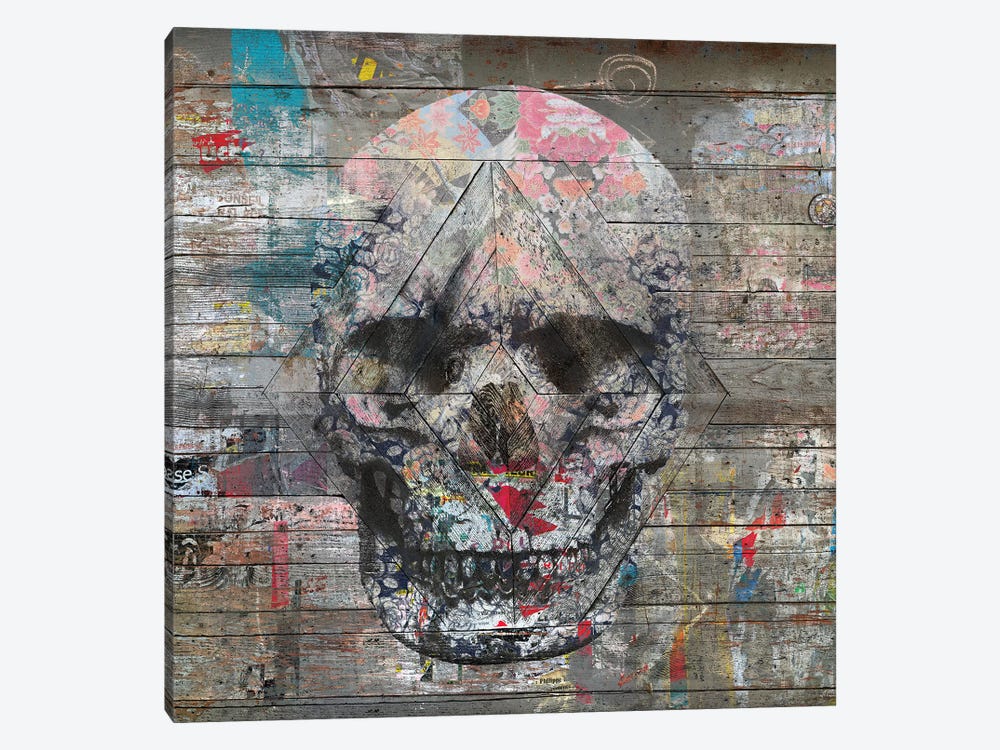 Urban Skull by Diego Tirigall 1-piece Canvas Wall Art