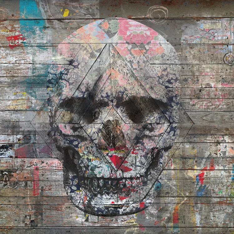 Urban Skull