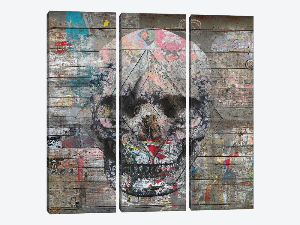 Urban Skull by Diego Tirigall 3-piece Canvas Wall Art