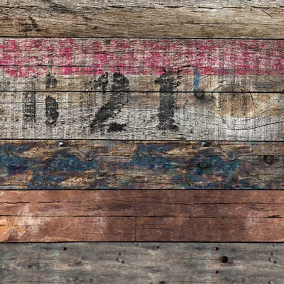 Day In, Day Out by Diego Tirigall canvas print