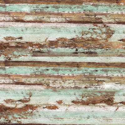 Nostalgia by Diego Tirigall acrylic art print