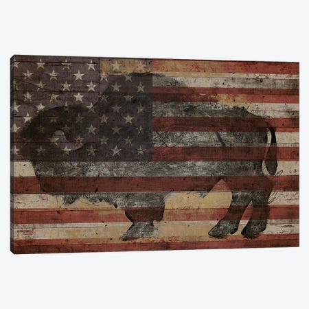 American Bison I Canvas Print #MXS173} by Diego Tirigall Canvas Print