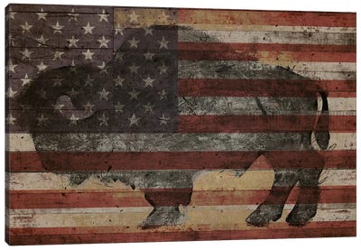 American Bison I Canvas Art Print - Flag Art