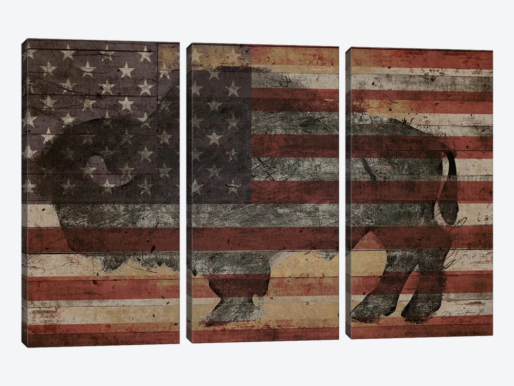 American Bison I by Diego Tirigall 3-piece Canvas Wall Art
