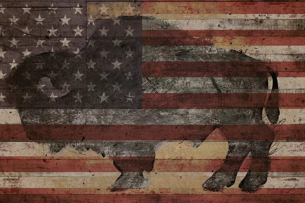 American Décor: American Bison I by Diego Tirigall