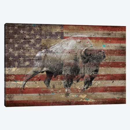 American Bison II Canvas Print #MXS174} by Diego Tirigall Canvas Art