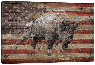 American Bison II Canvas Art Print - Bison & Buffalo Art