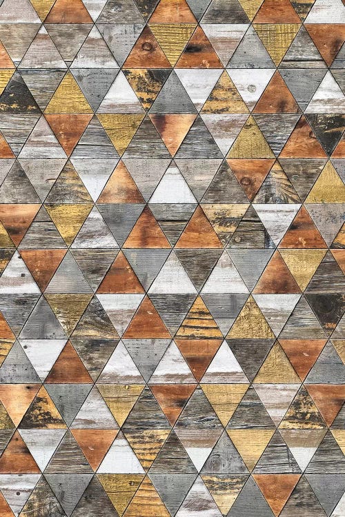 Rustic Geometry III - Height by Diego Tirigall canvas print