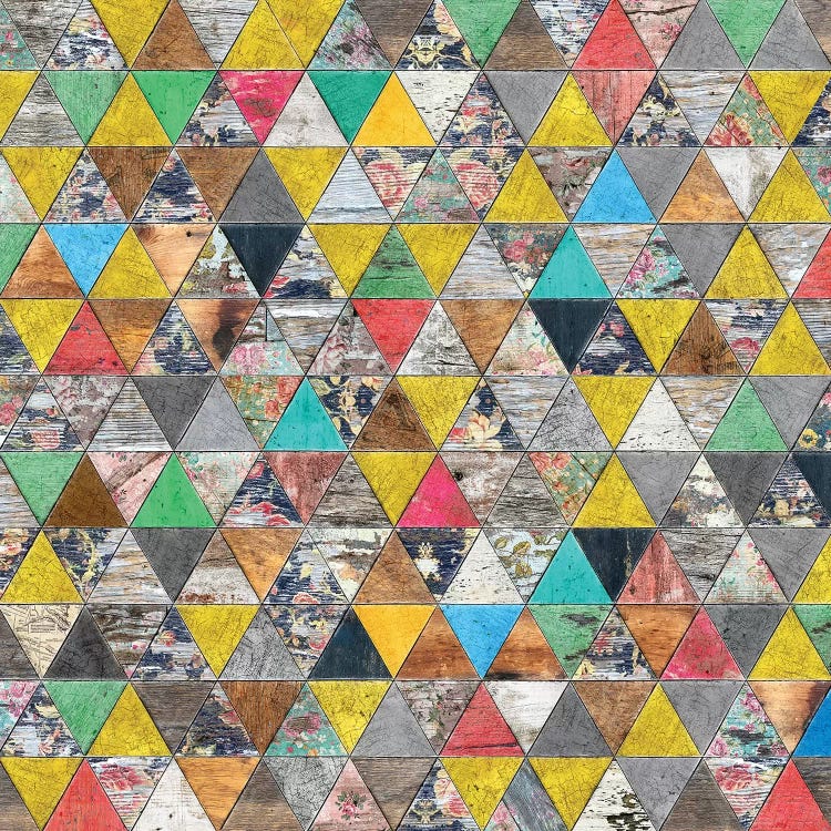 Reclaimed Pattern by Diego Tirigall canvas print
