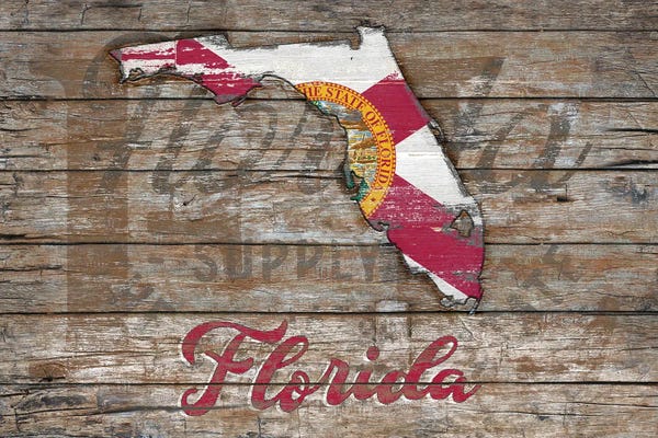 U.S. State Flags: Rustic Morning In Florida State by Diego Tirigall