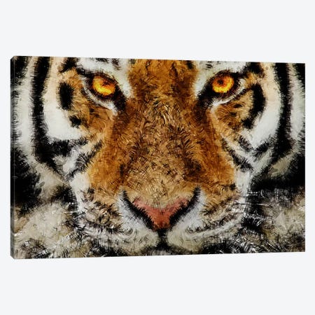 Animal Art - Tiger Canvas Print #MXS38} by Diego Tirigall Canvas Artwork