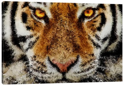 Animal Art - Tiger Canvas Art Print - Diego Tirigall